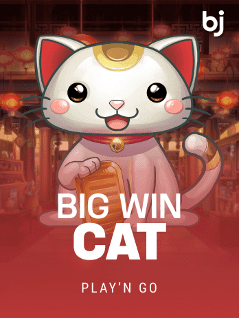 Big Win Cat game icon