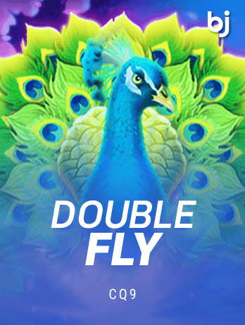 Double Flypng