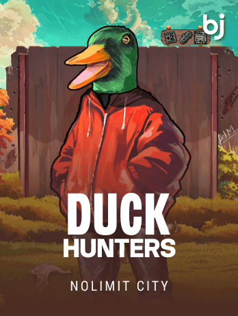 Duck Hunters game icon